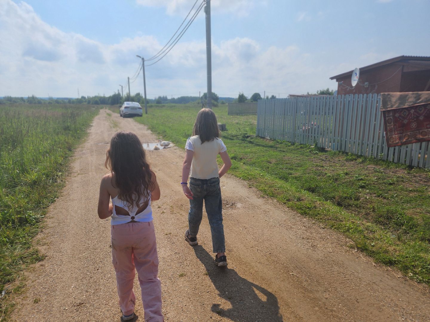 сергиев посад, сергиево-посадский городской округ, филисово, борщевик сосновского,