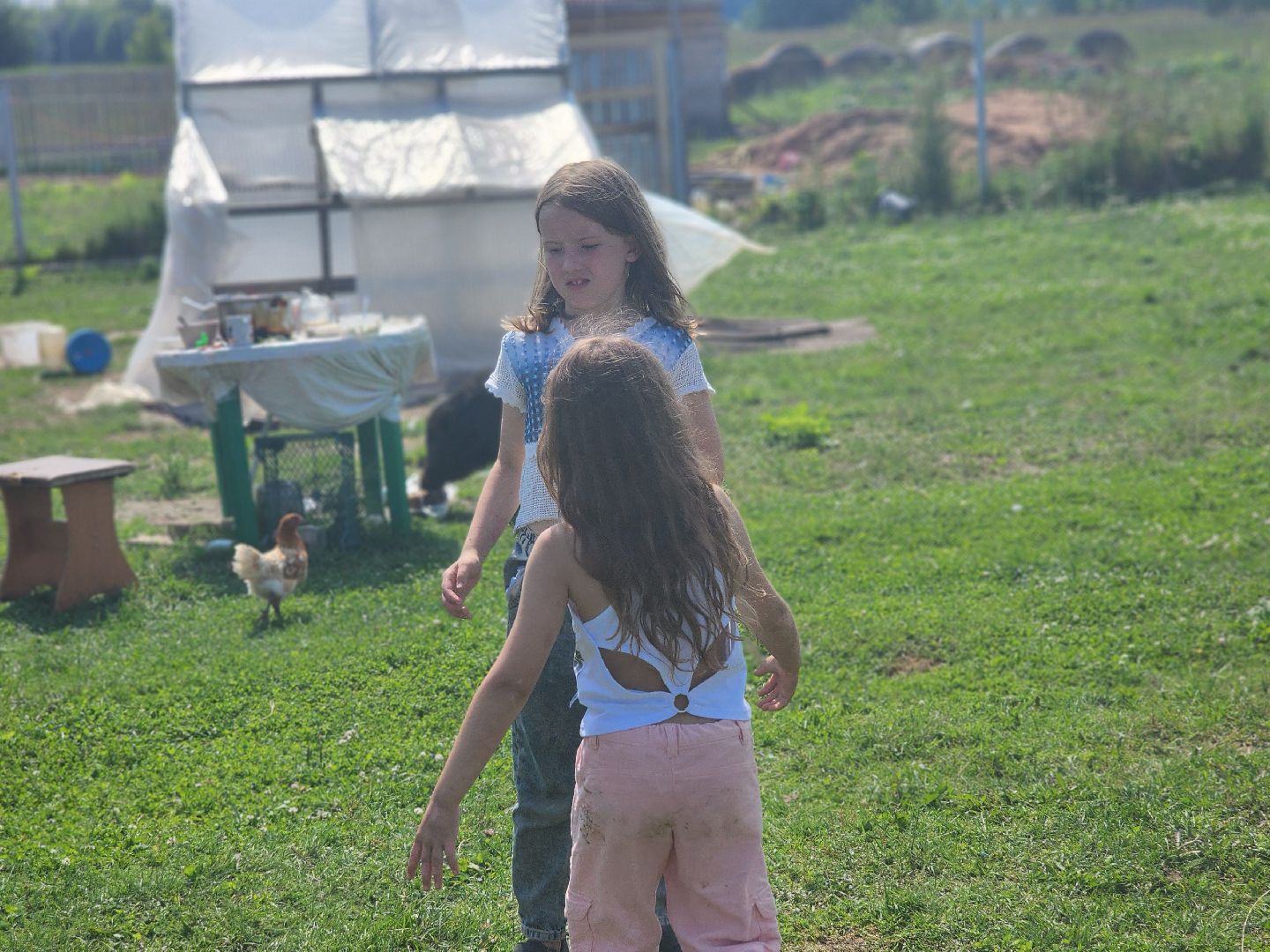 сергиев посад, сергиево-посадский городской округ, филисово, борщевик сосновского,