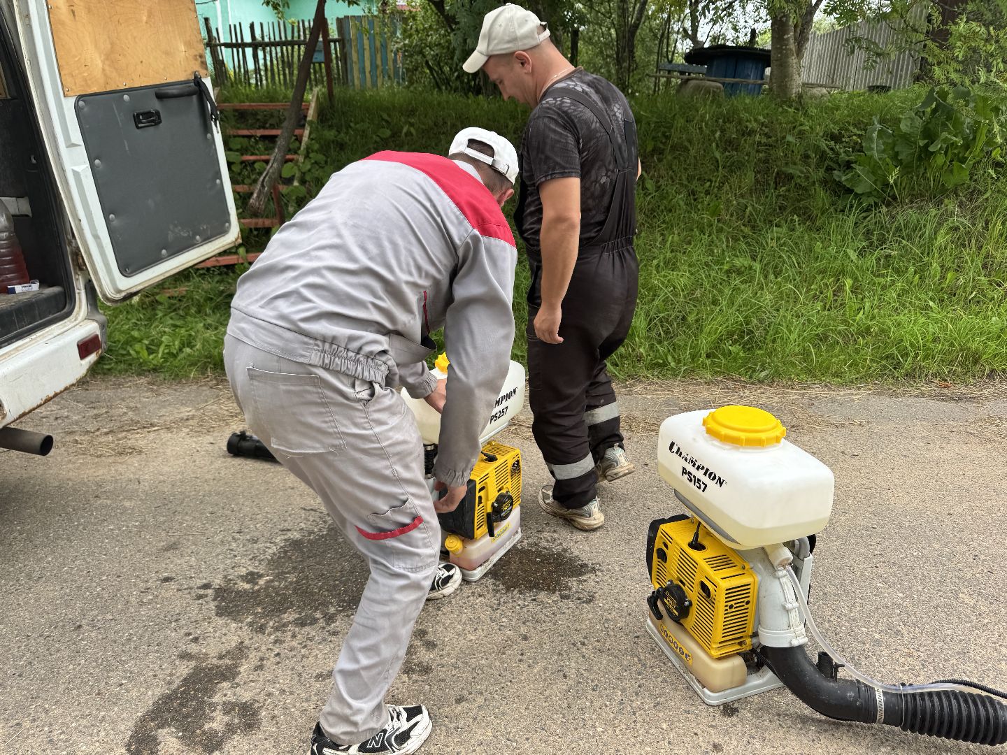 шаховская, борщевик, борщевик сосновского, обработка от борщевика,