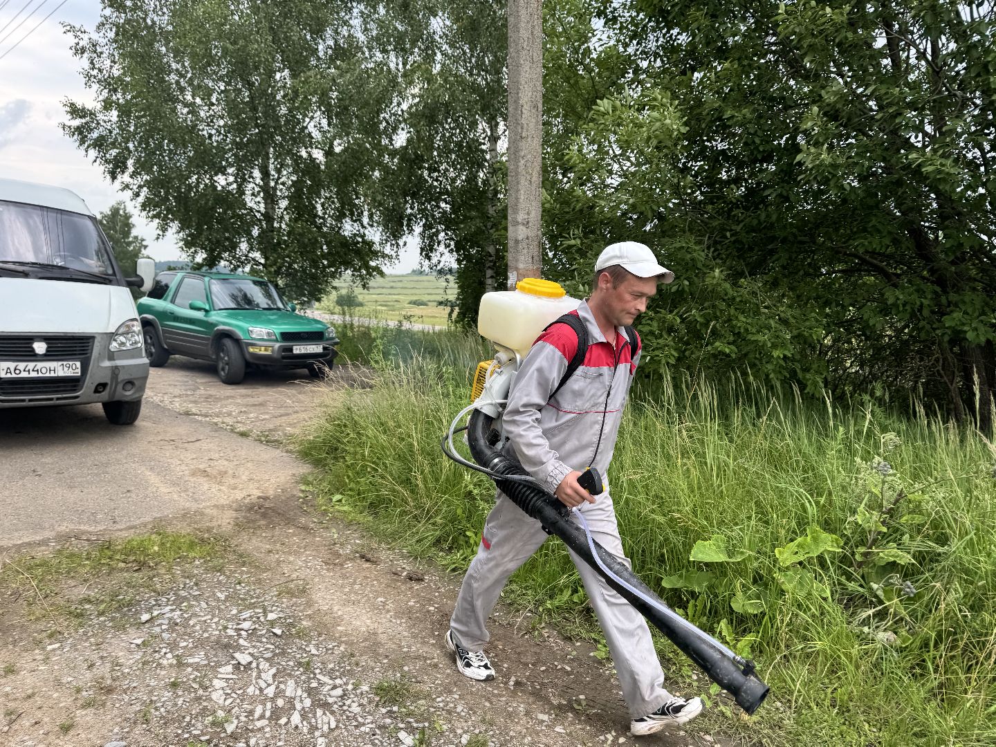 шаховская, борщевик, борщевик сосновского, обработка от борщевика,