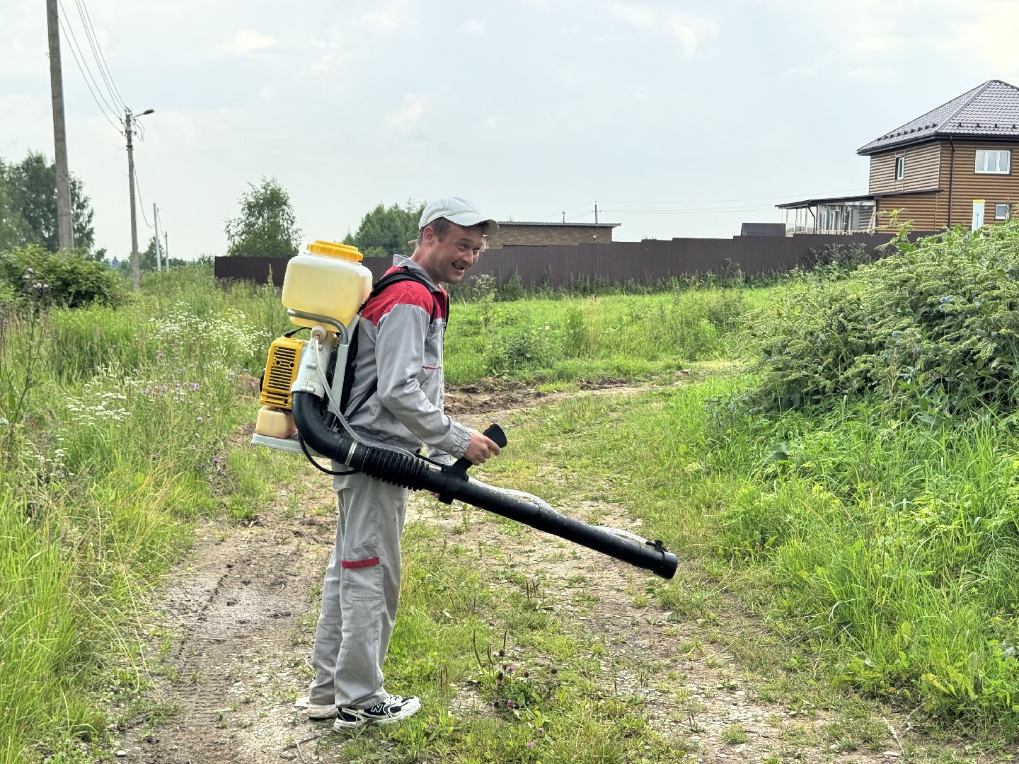 шаховская, борщевик, борщевик сосновского, обработка от борщевика,