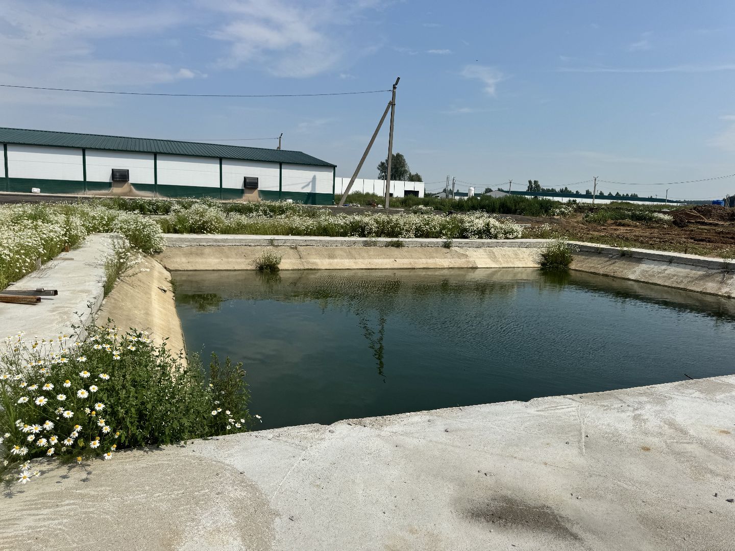 шаховская, предприятие, куры, птица,