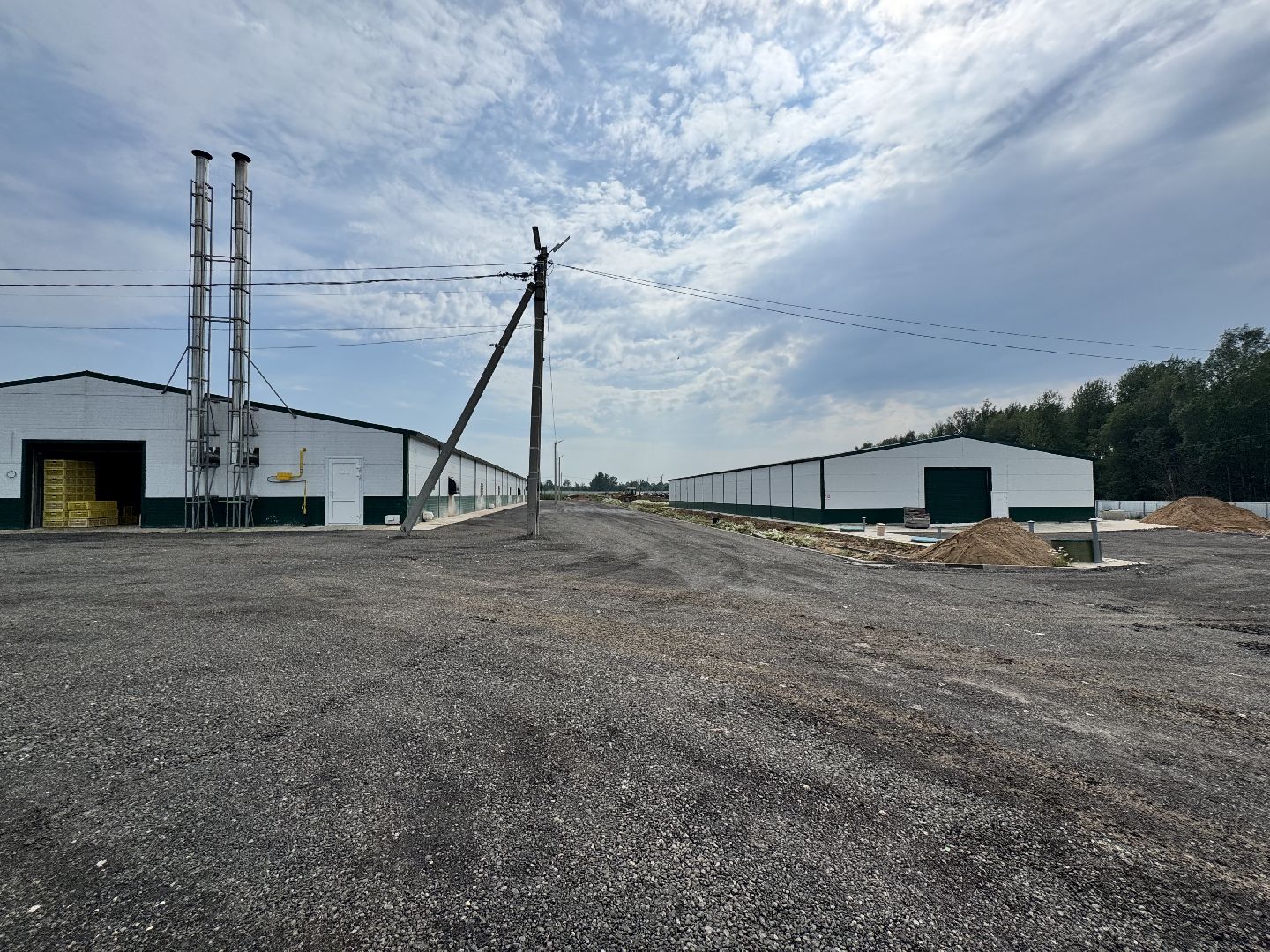 шаховская, предприятие, куры, птица,