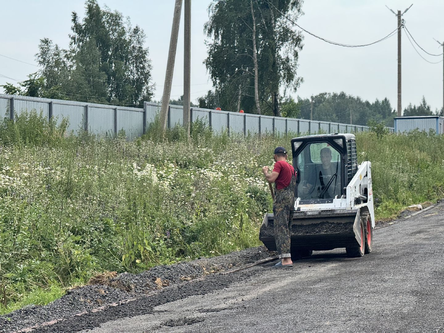 шаховская, предприятие, куры, птица,