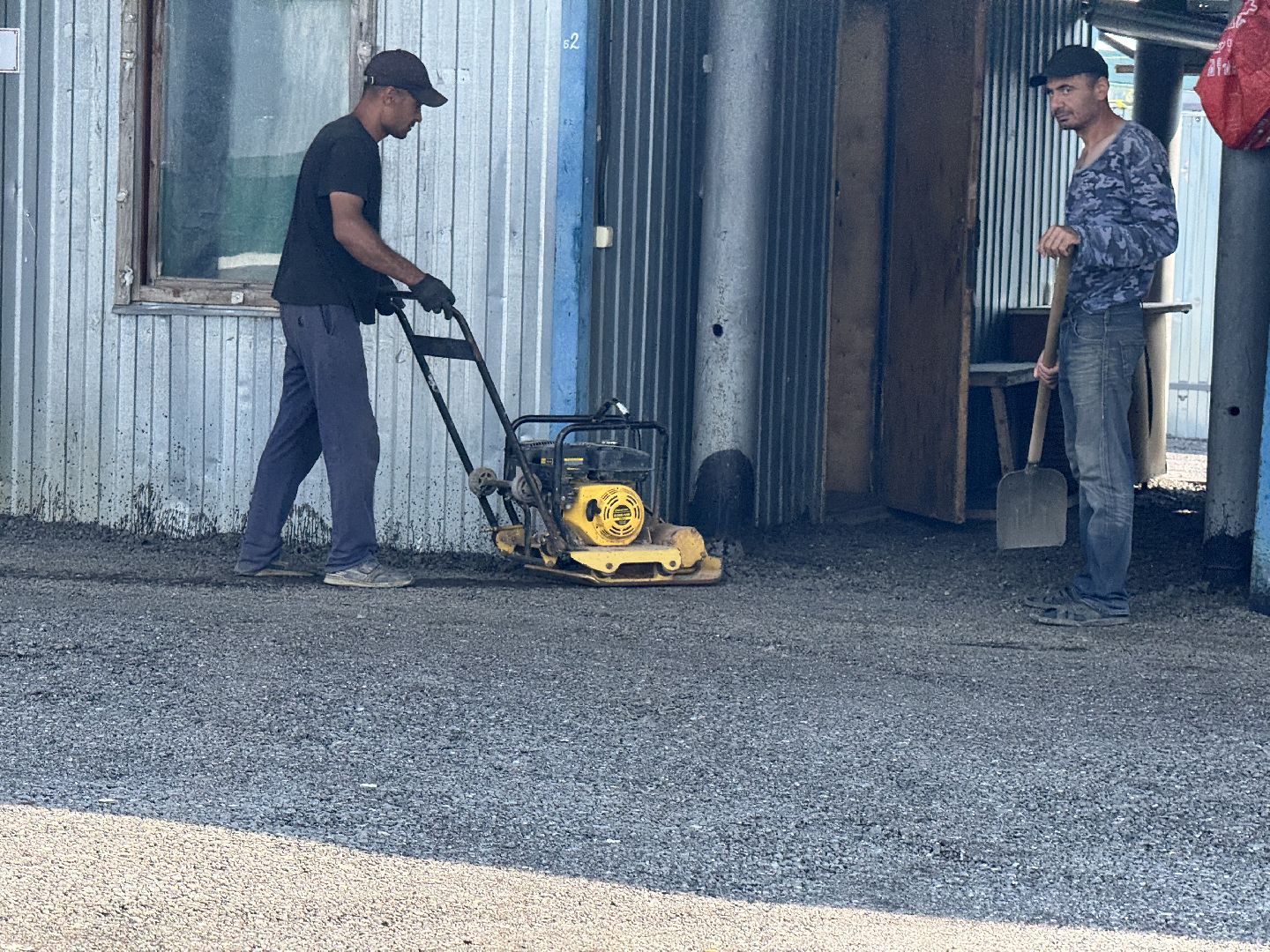 шаховская, предприятие, куры, птица,