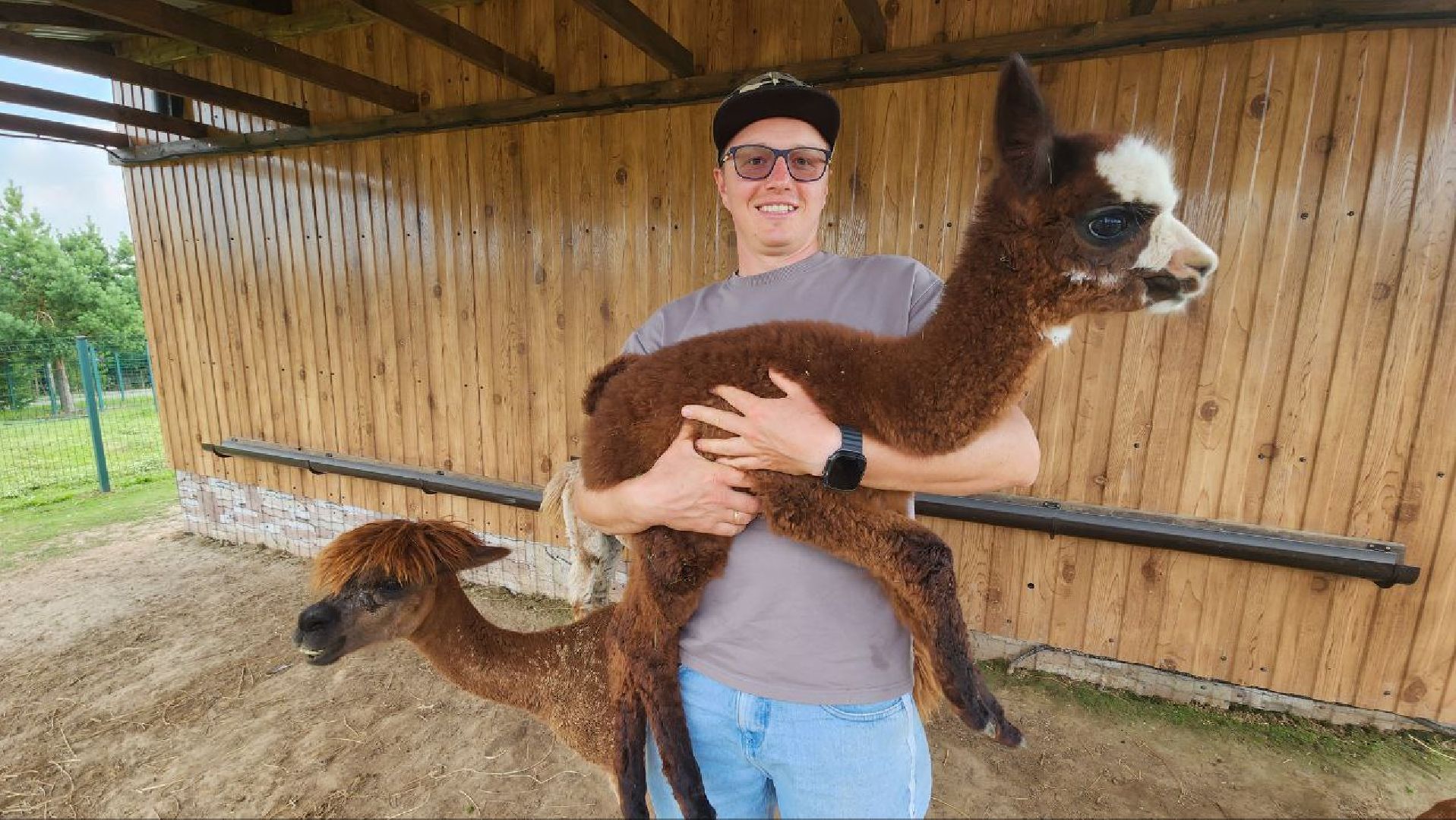 Дмитров, Экоферма , Российские альпаки, Фермеры Смирновы,Туризм,
