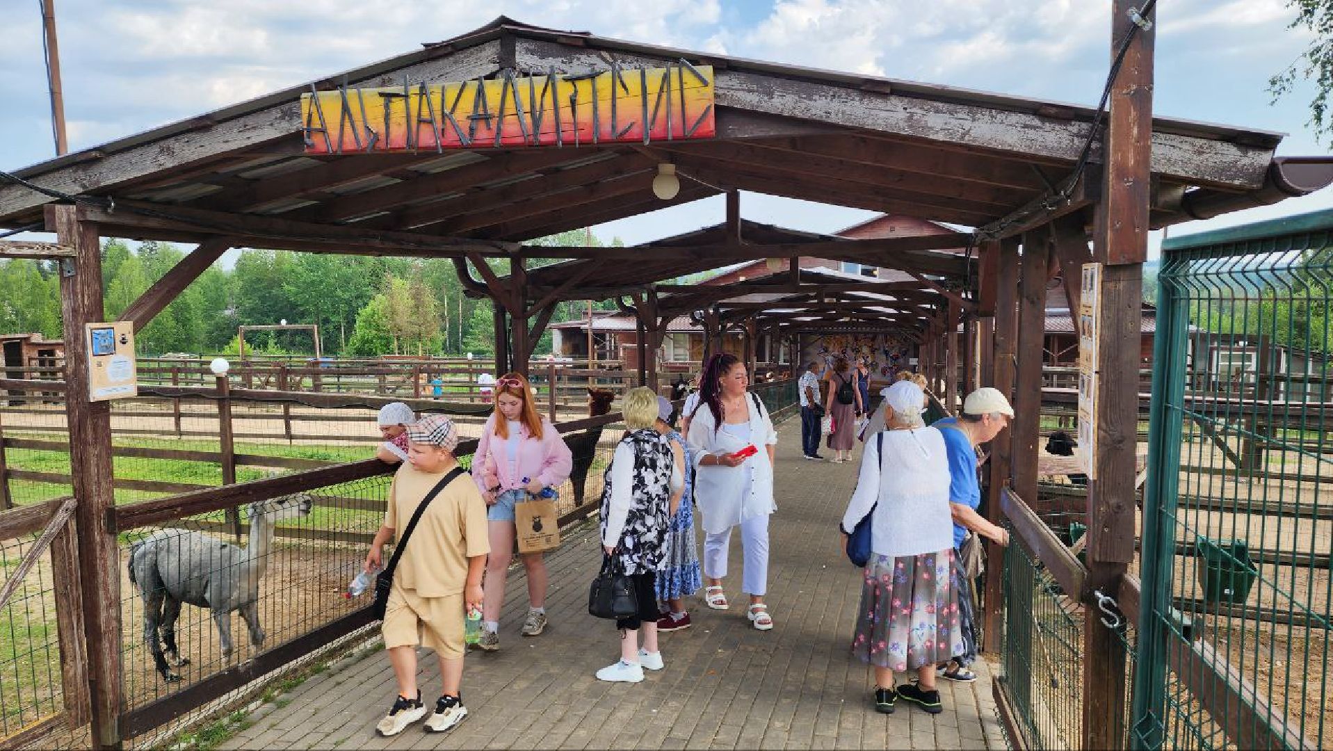 Дмитров, Экоферма , Российские альпаки, Фермеры Смирновы,Туризм,