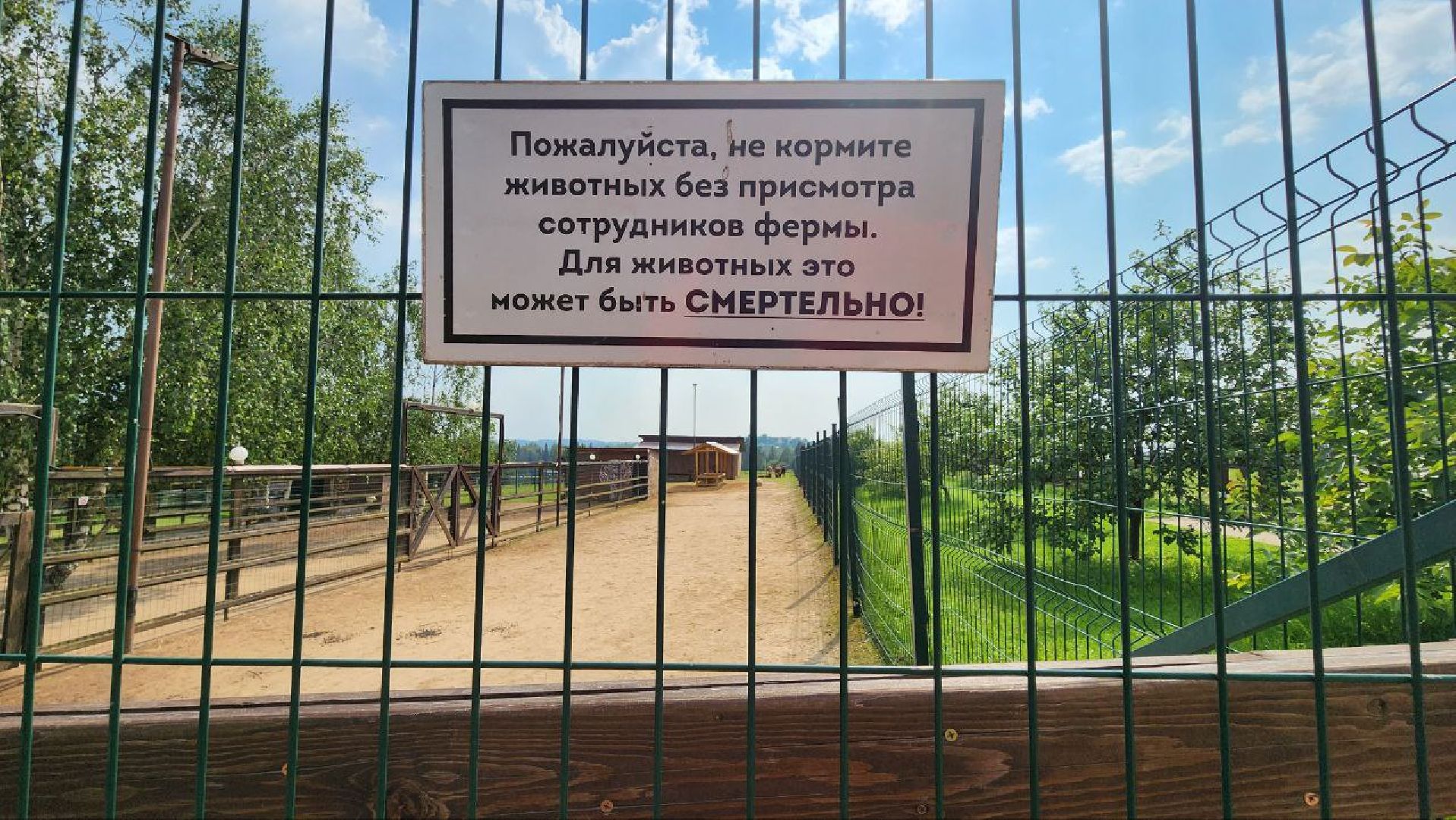 Дмитров, Экоферма , Российские альпаки, Фермеры Смирновы,Туризм,