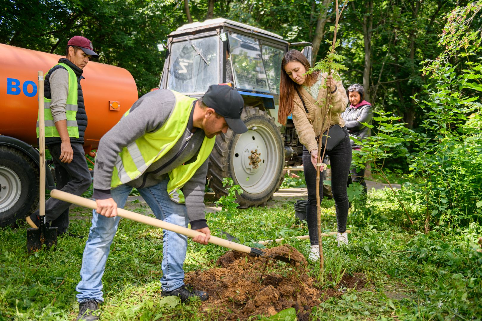 лыткарино, экология , экология лыткарино, деревья,