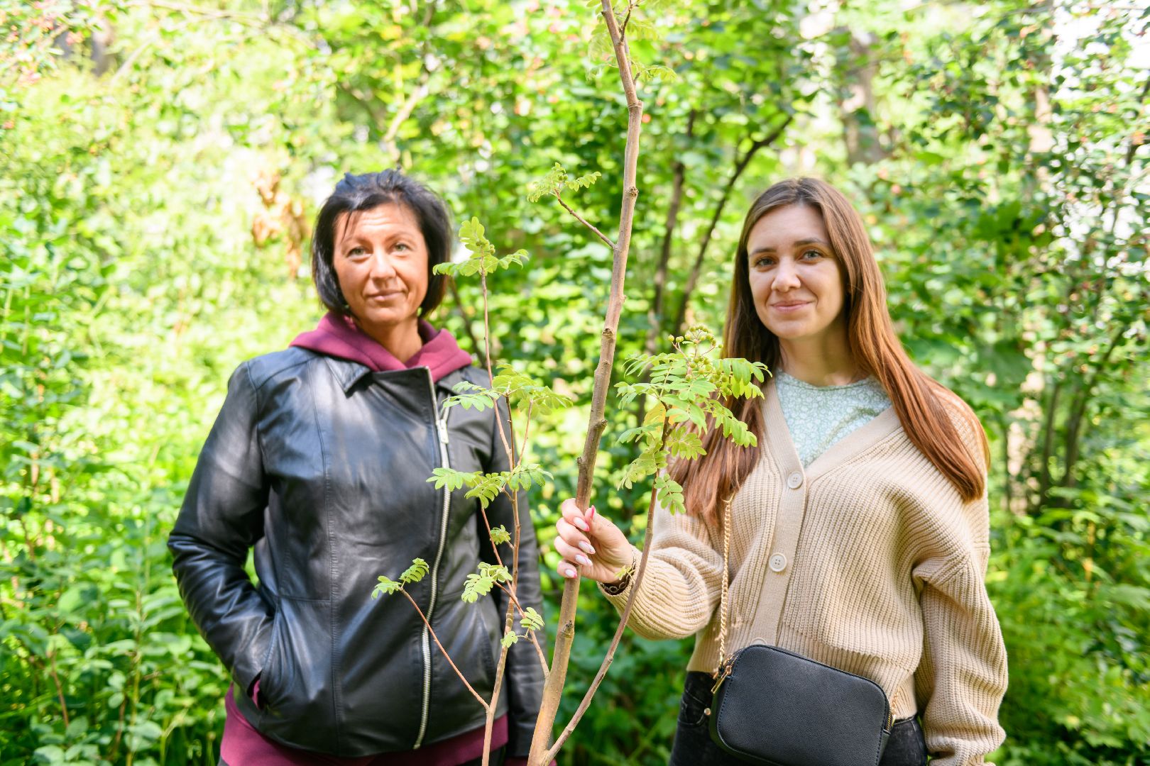 лыткарино, экология , экология лыткарино, деревья,