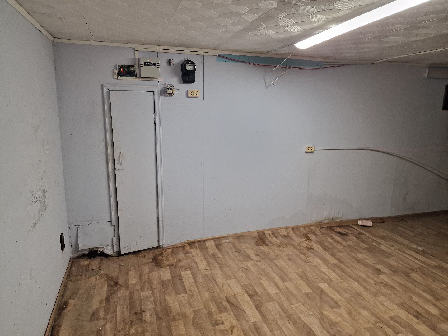 Дубна, Волонтеры, ПриюткошекЛеопольд,