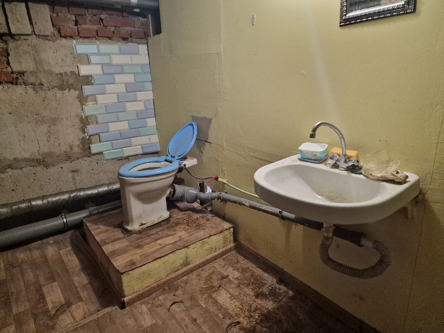 Дубна, Волонтеры, ПриюткошекЛеопольд,