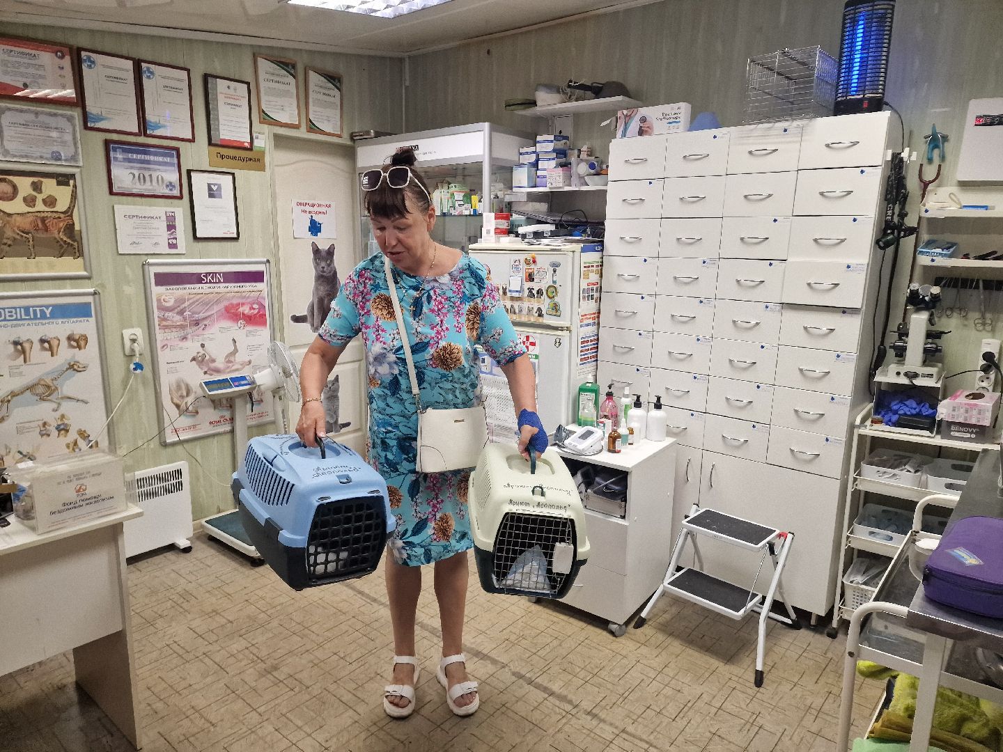 Дубна, Волонтеры, ПриюткошекЛеопольд,