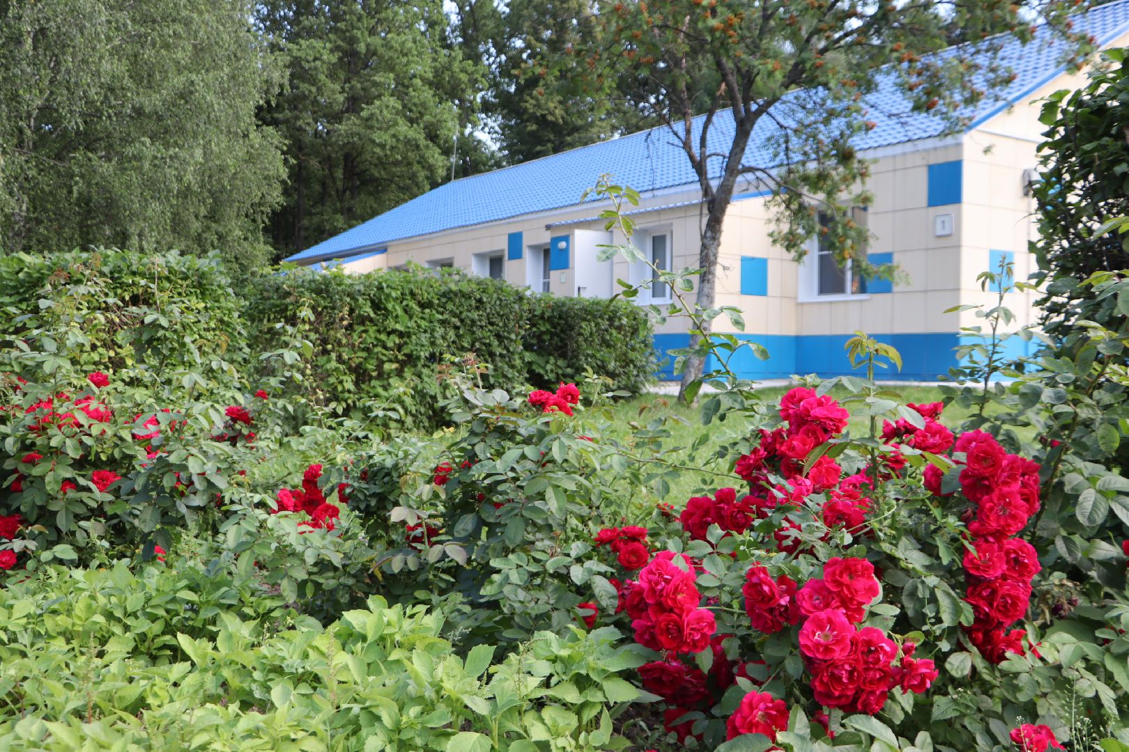 зарайск, детский отдых, дол осетр, оздоровительная кампания,