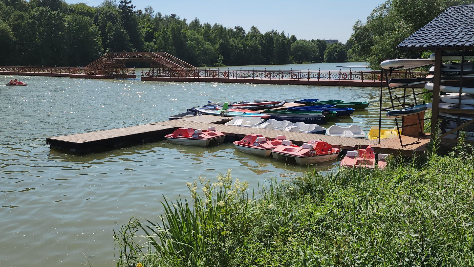 щёлково, купальный сезон, отдых на воде, гребнево,
