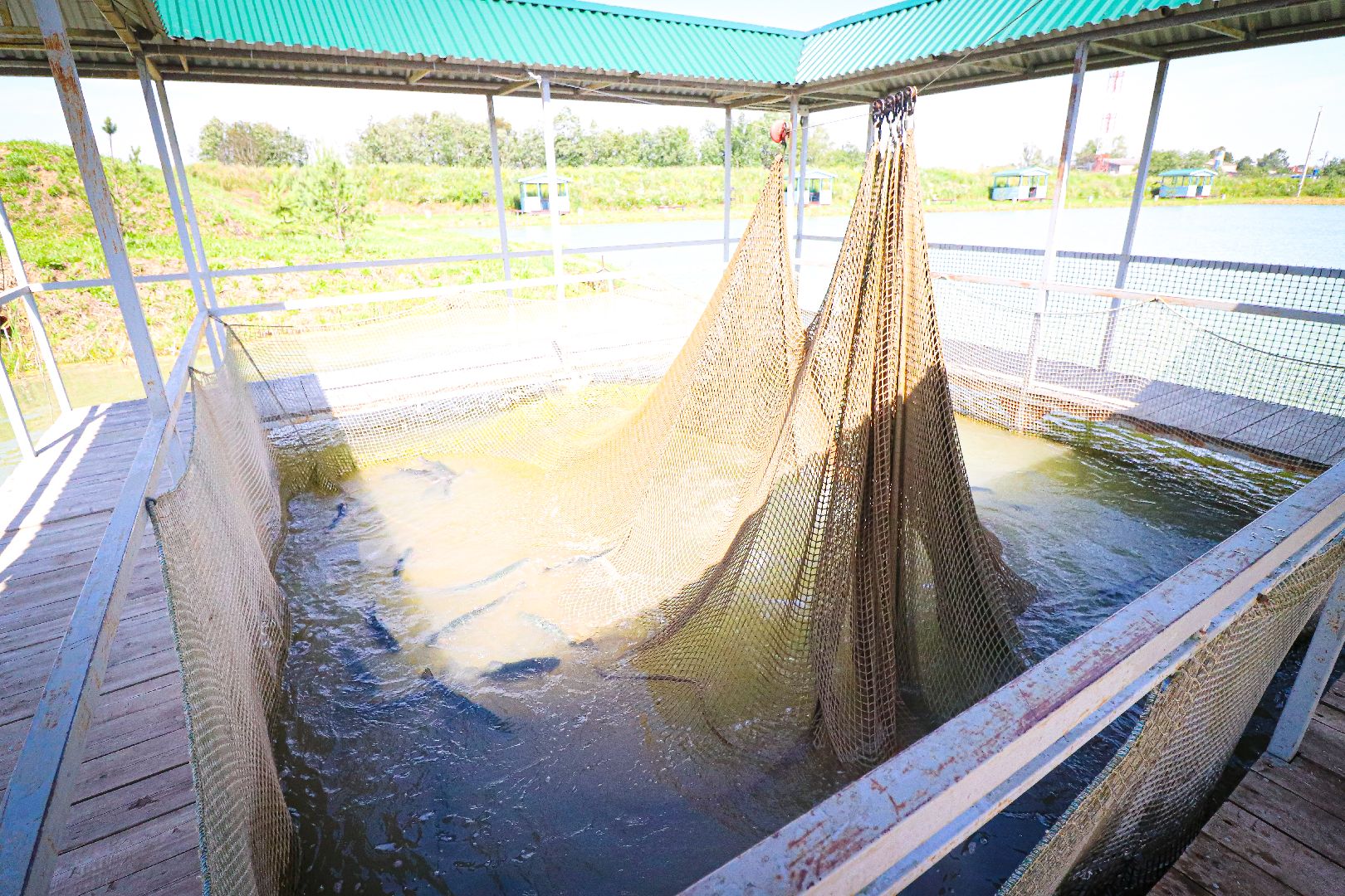 клин, общество, экономика, туризм, рыбалка,