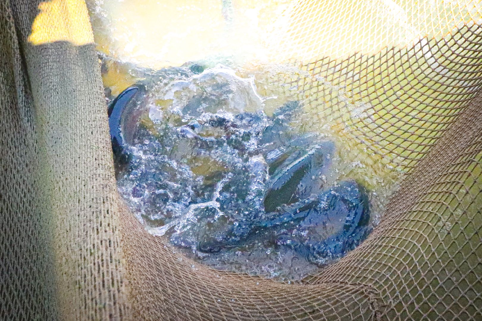 клин, общество, экономика, туризм, рыбалка,