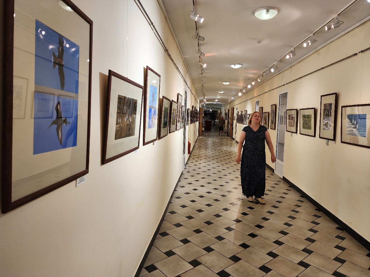 раменское, культура, раменский историко-художественный музей, фотовыставка птицы россии,