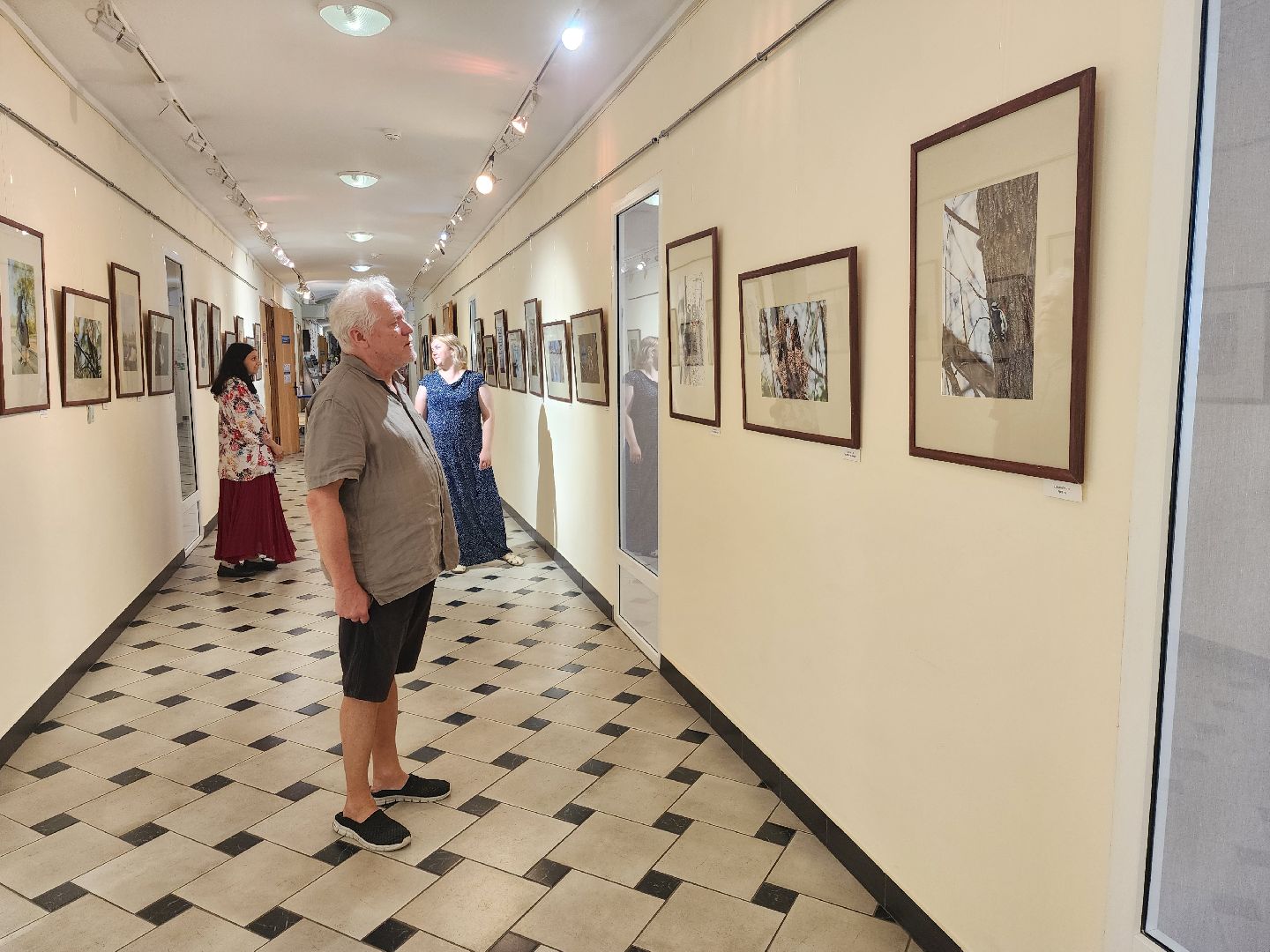 раменское, культура, раменский историко-художественный музей, фотовыставка птицы россии,