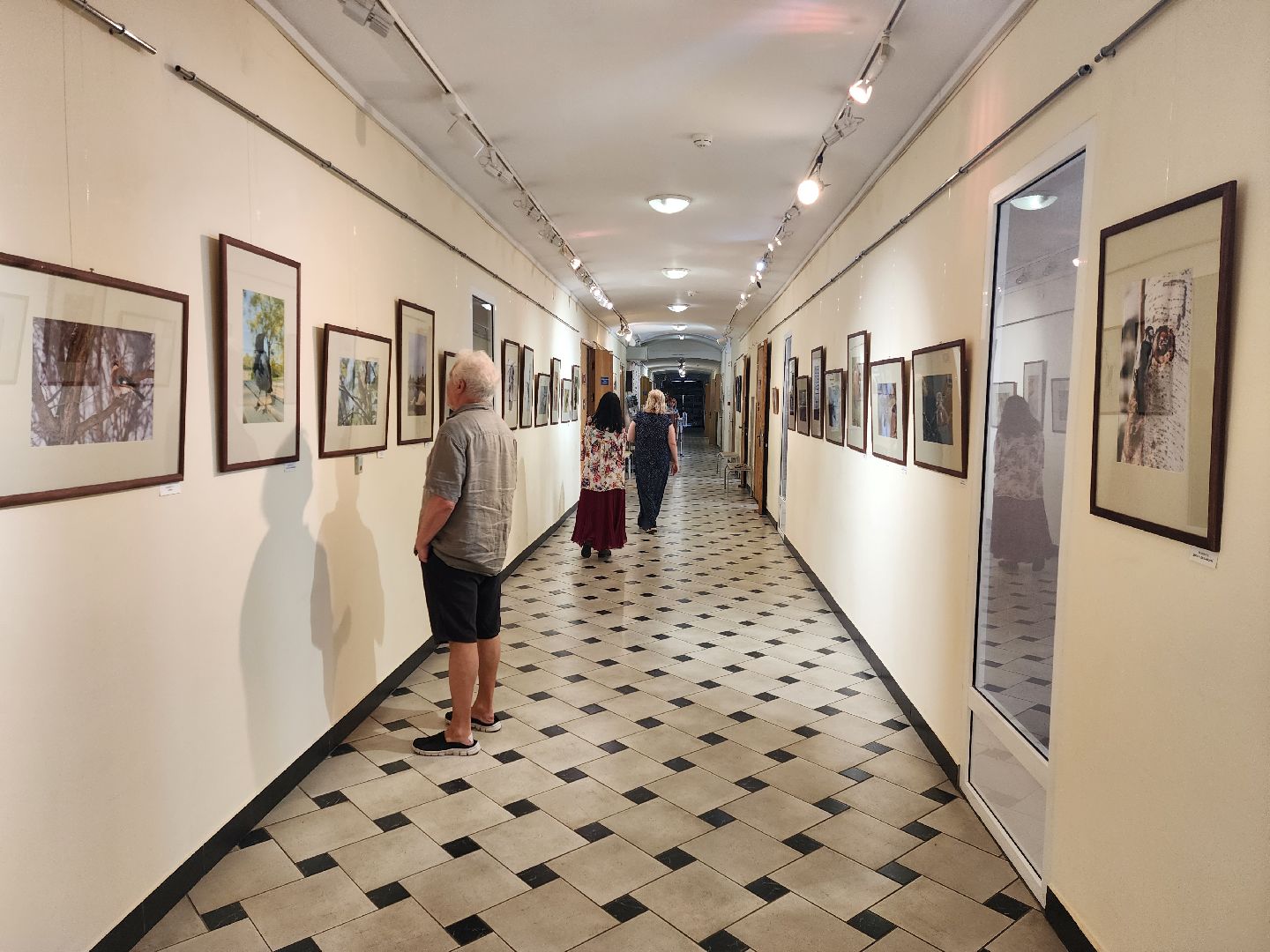 раменское, культура, раменский историко-художественный музей, фотовыставка птицы россии,