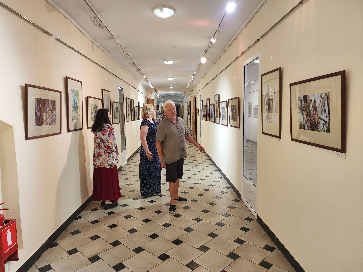 раменское, культура, раменский историко-художественный музей, фотовыставка птицы россии,