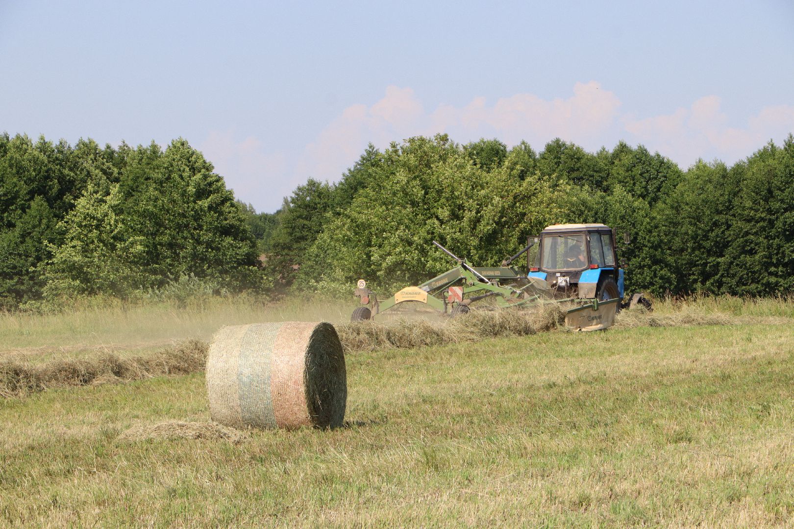 серебряные пруды, сенокос, сельское хозяйство, сп нива,