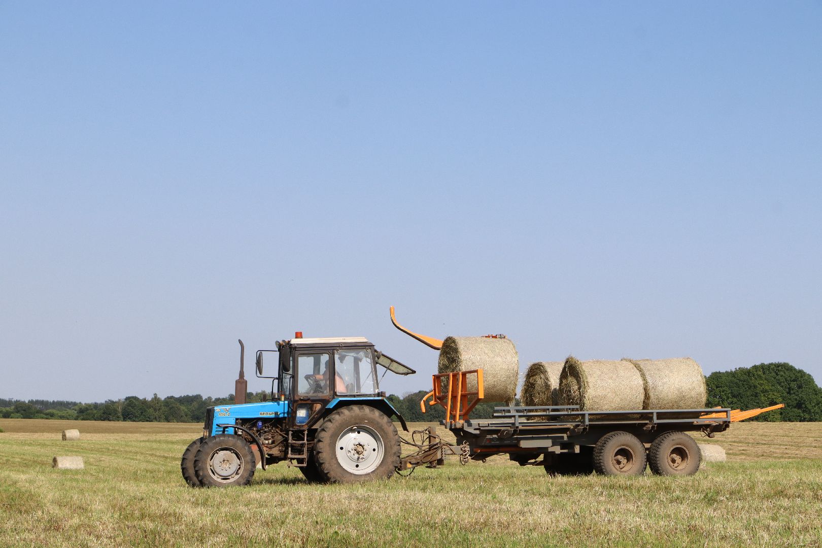 серебряные пруды, сенокос, сельское хозяйство, сп нива,