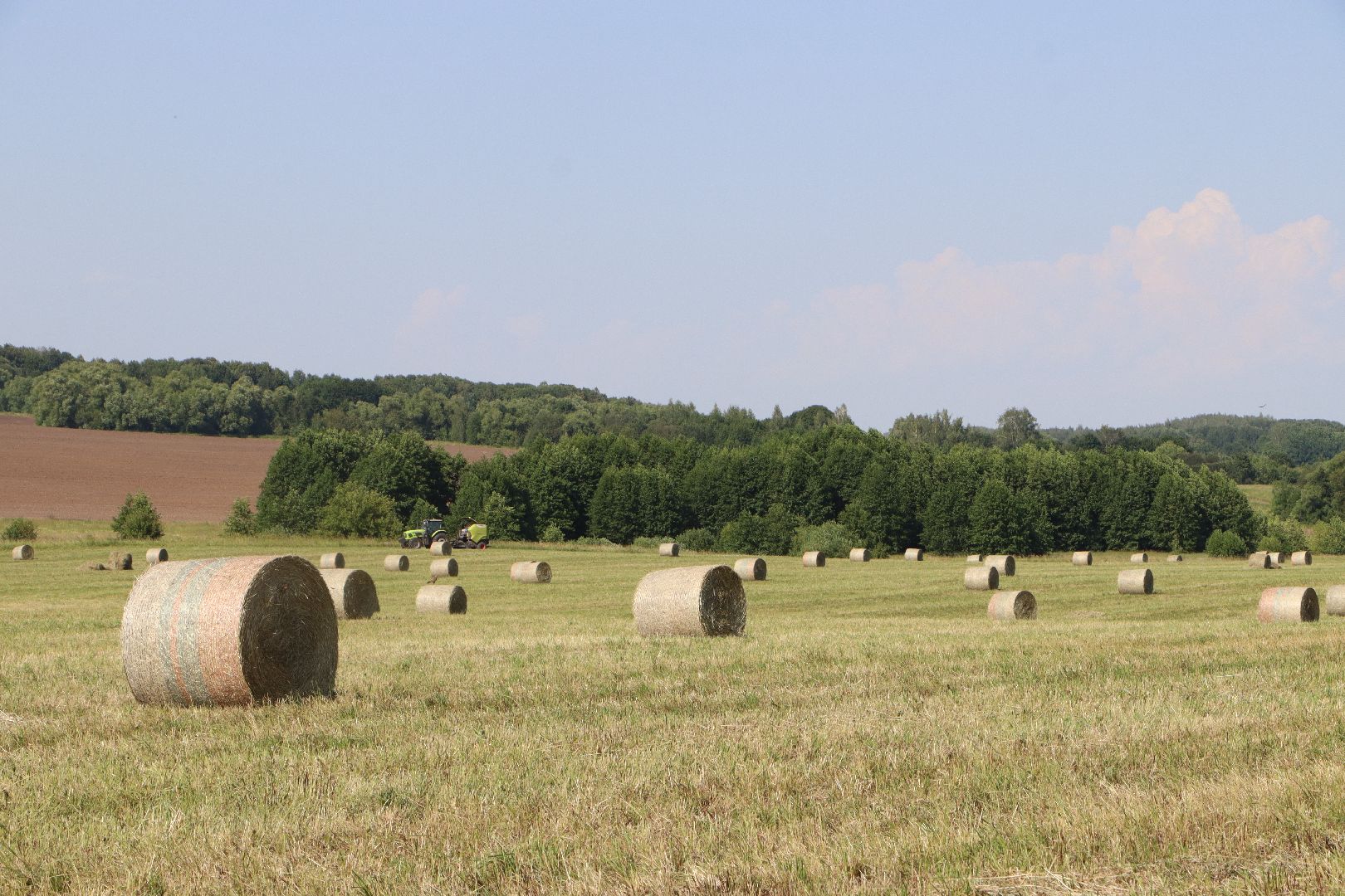 серебряные пруды, сенокос, сельское хозяйство, сп нива,