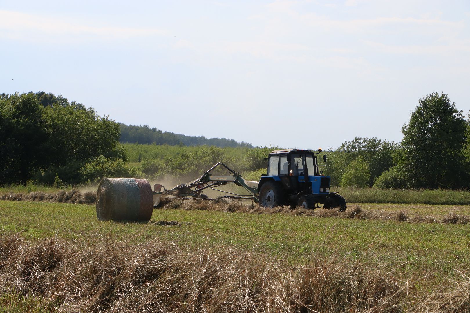 серебряные пруды, сенокос, сельское хозяйство, сп нива,