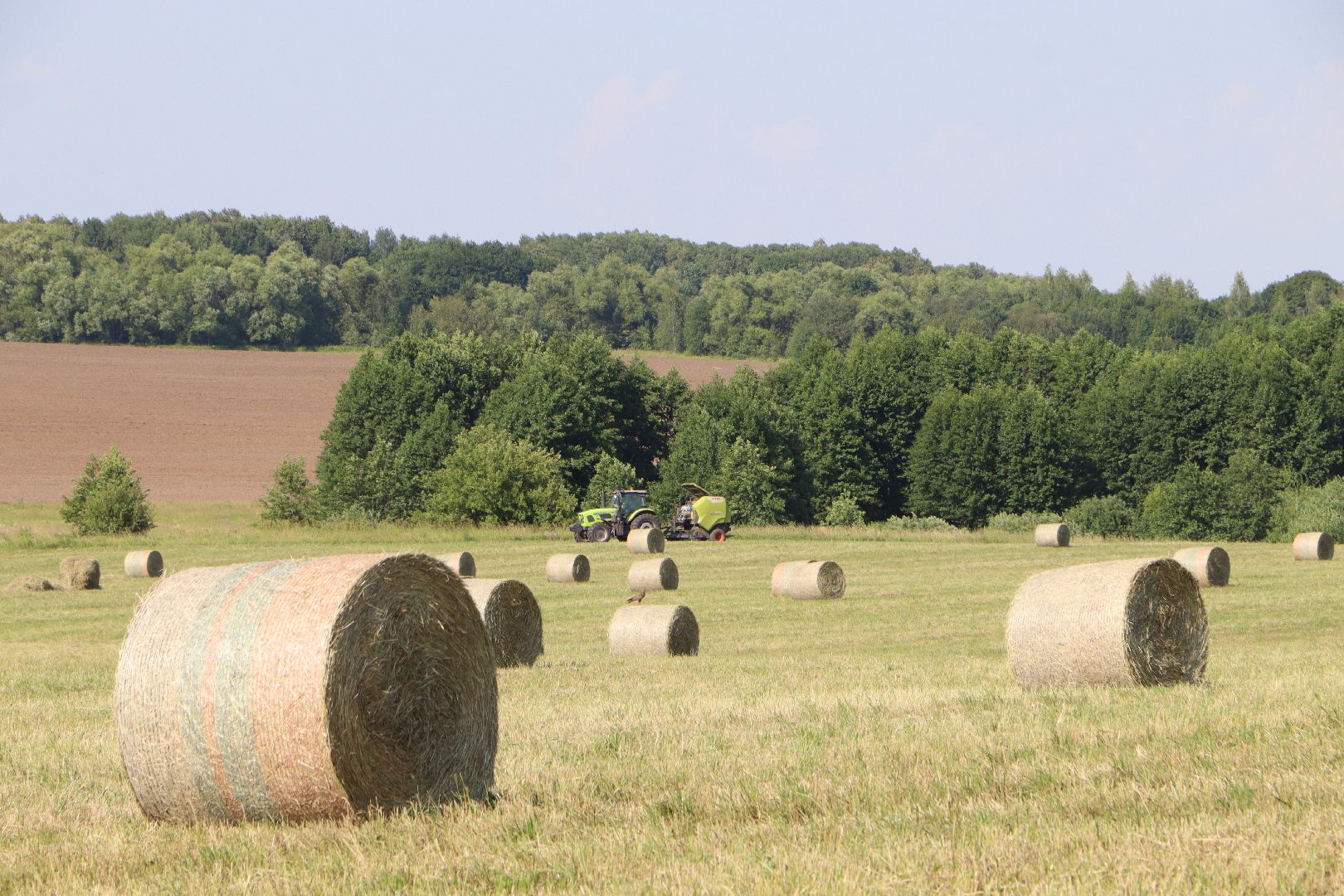 серебряные пруды, сенокос, сельское хозяйство, сп нива,