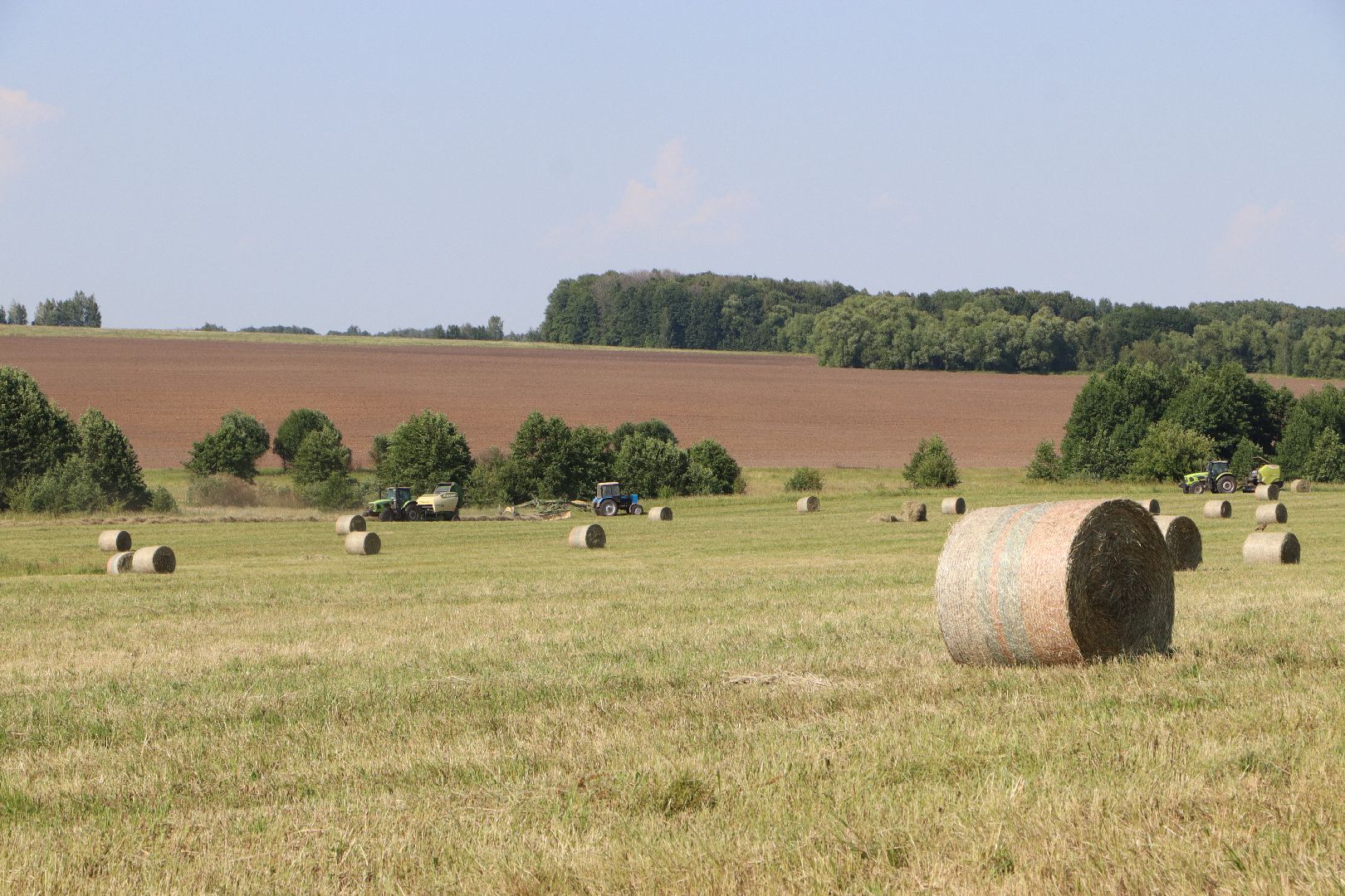 серебряные пруды, сенокос, сельское хозяйство, сп нива,