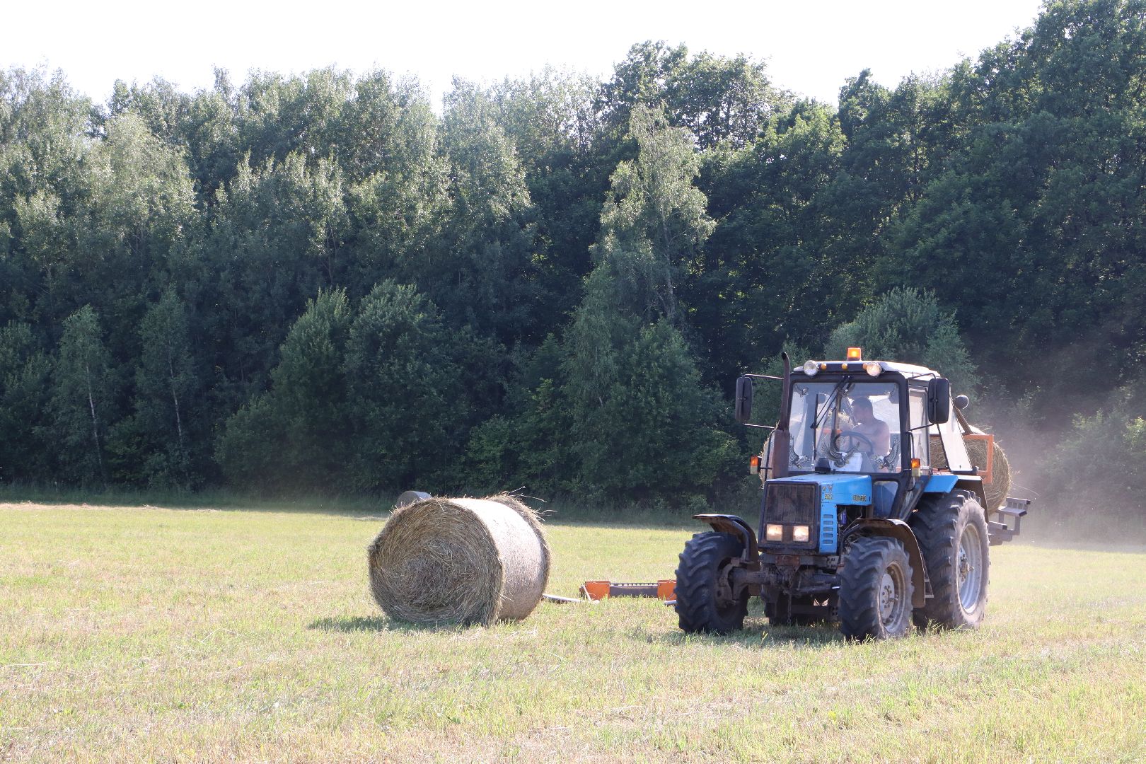 серебряные пруды, сенокос, сельское хозяйство, сп нива,