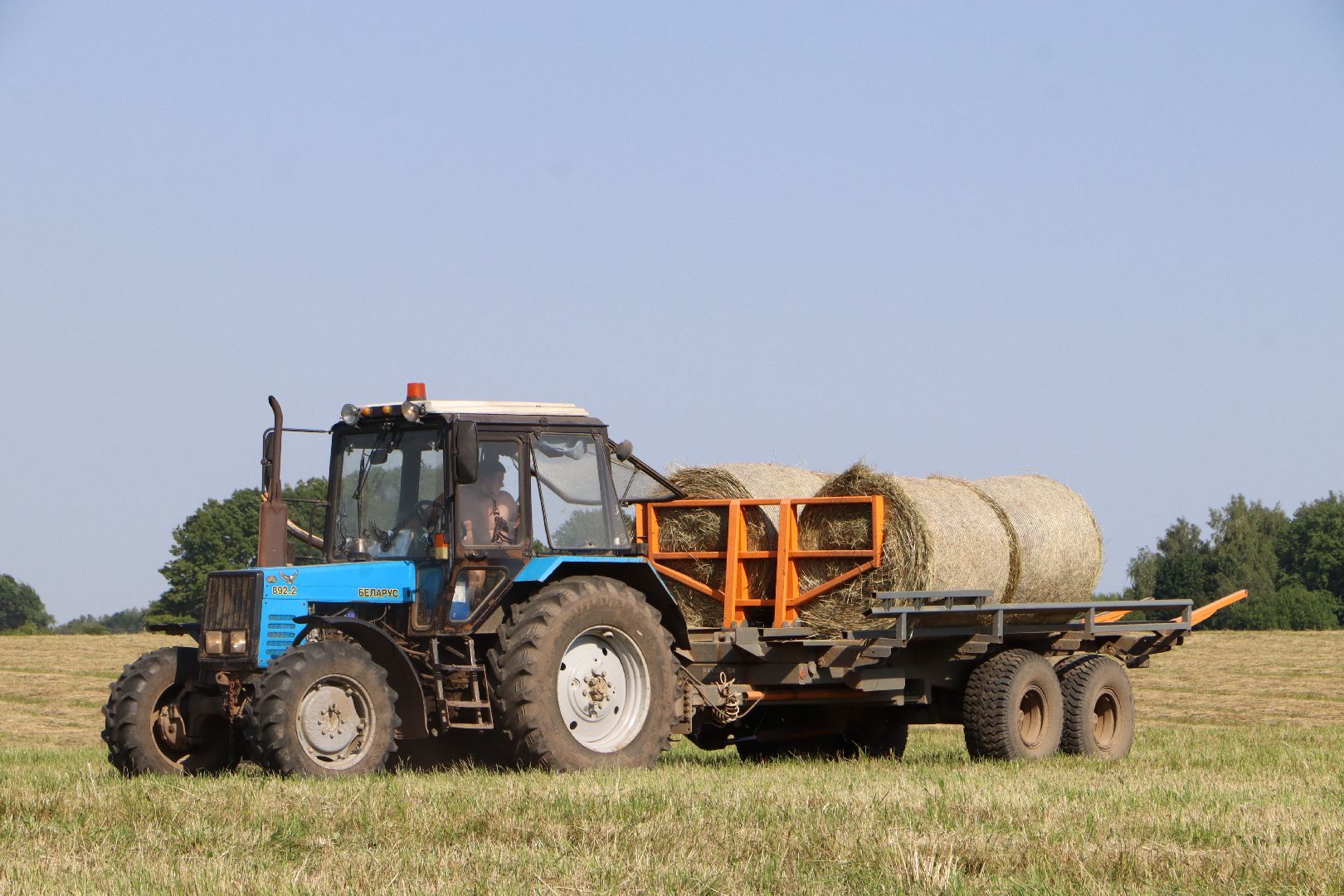 серебряные пруды, сенокос, сельское хозяйство, сп нива,