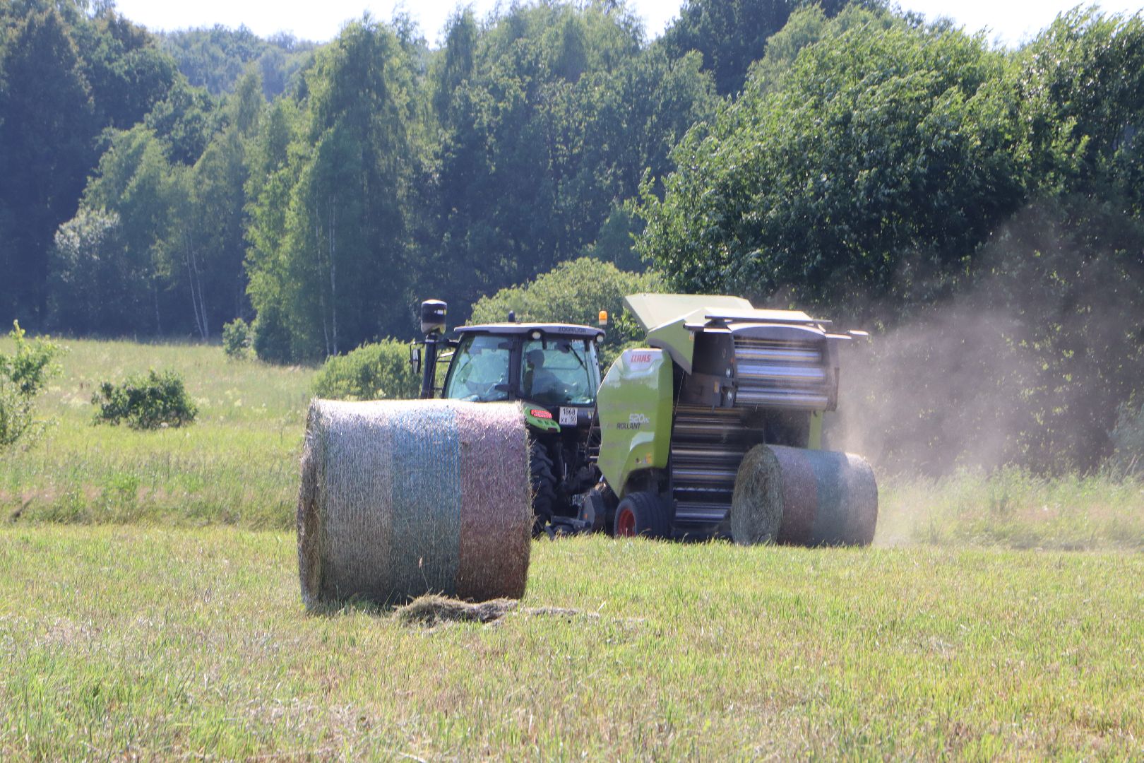серебряные пруды, сенокос, сельское хозяйство, сп нива,