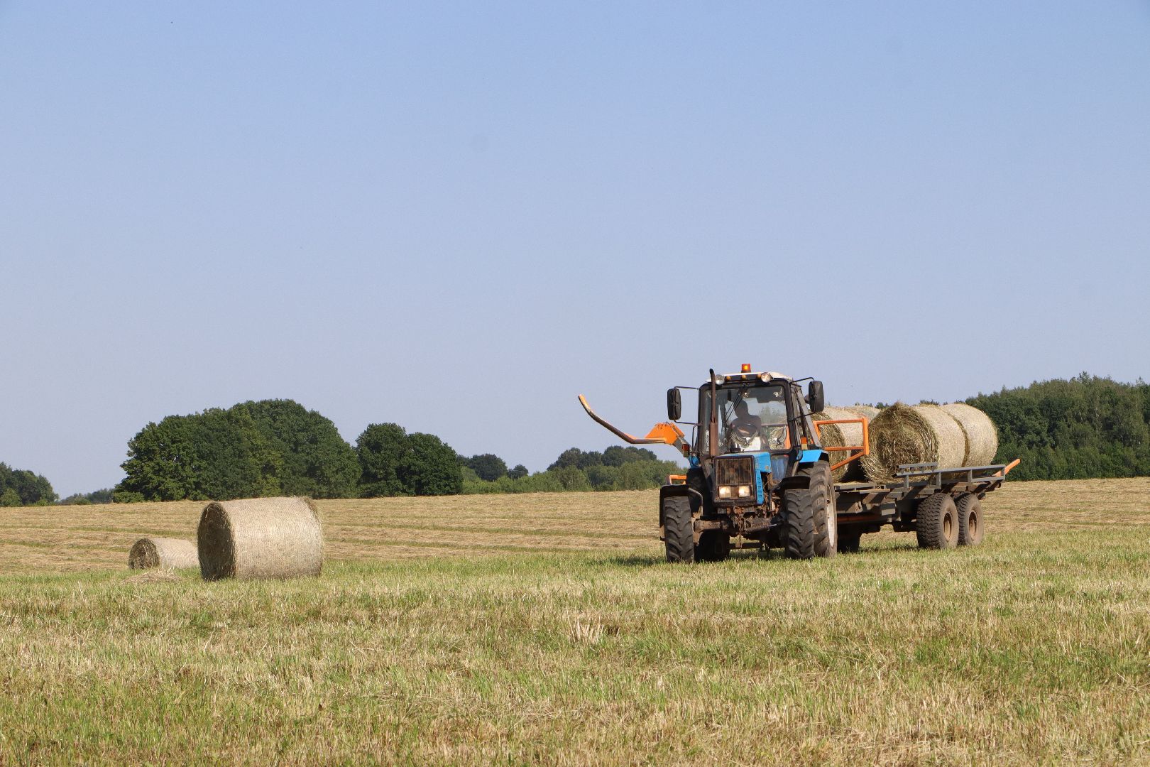 серебряные пруды, сенокос, сельское хозяйство, сп нива,
