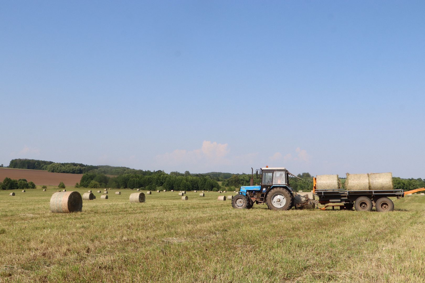 серебряные пруды, сенокос, сельское хозяйство, сп нива,