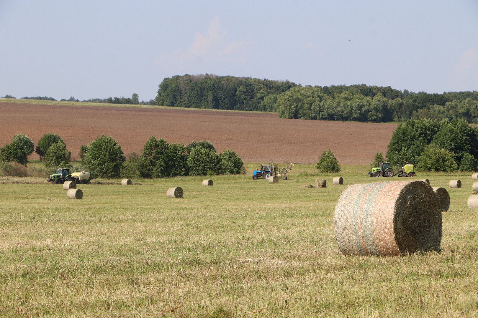серебряные пруды, сенокос, сельское хозяйство, сп нива,