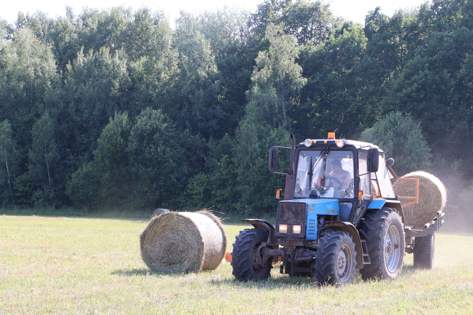 серебряные пруды, сенокос, сельское хозяйство, сп нива,