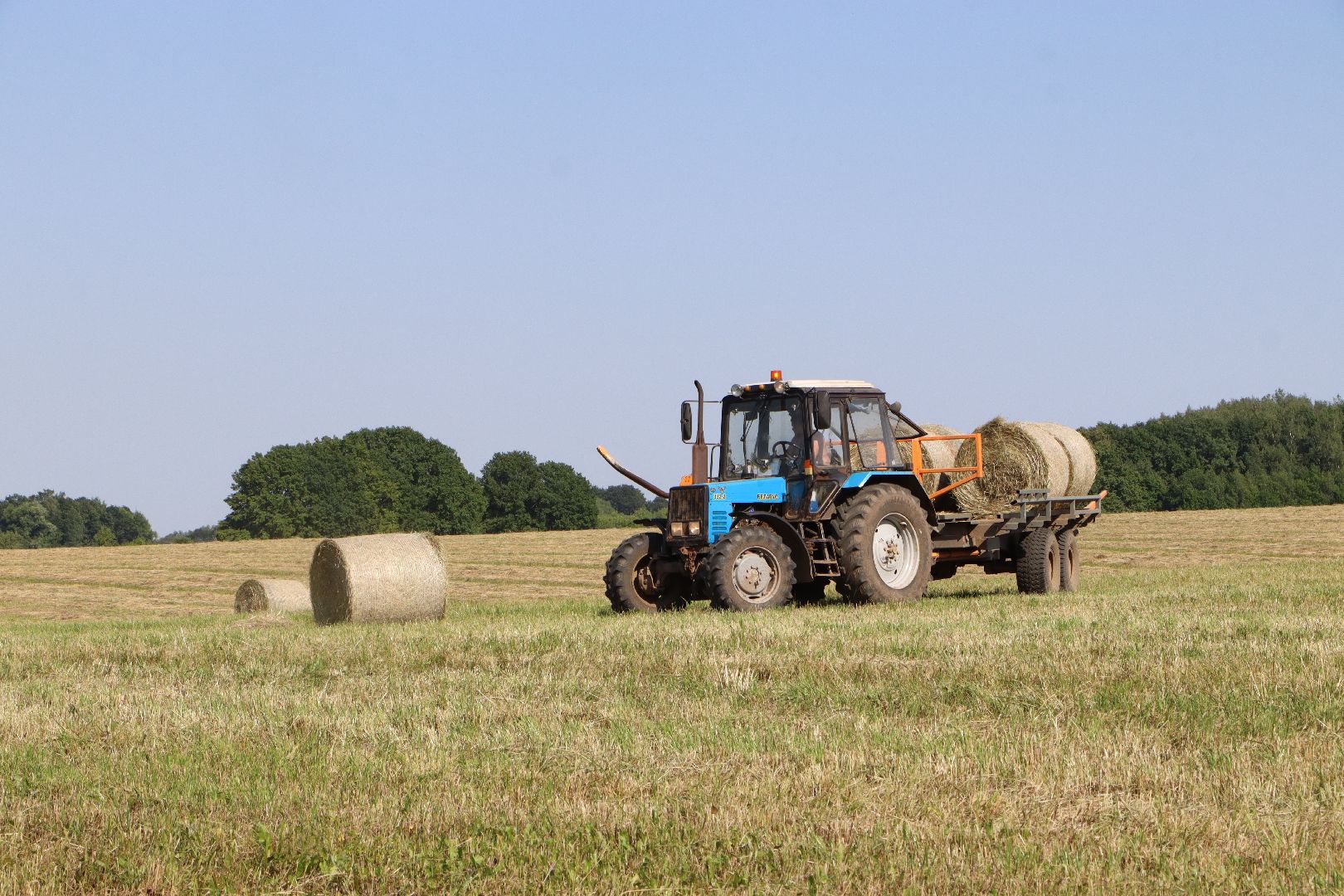серебряные пруды, сенокос, сельское хозяйство, сп нива,