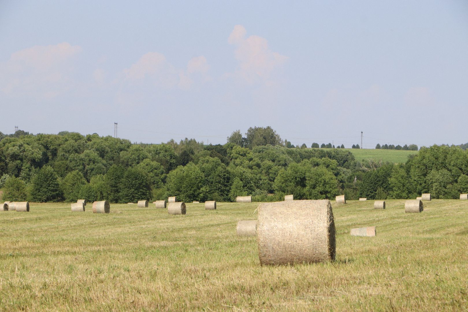 серебряные пруды, сенокос, сельское хозяйство, сп нива,