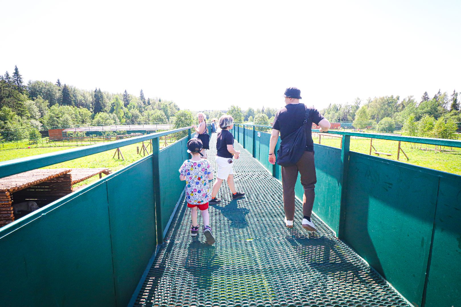 клин, общество, животные, туризм,