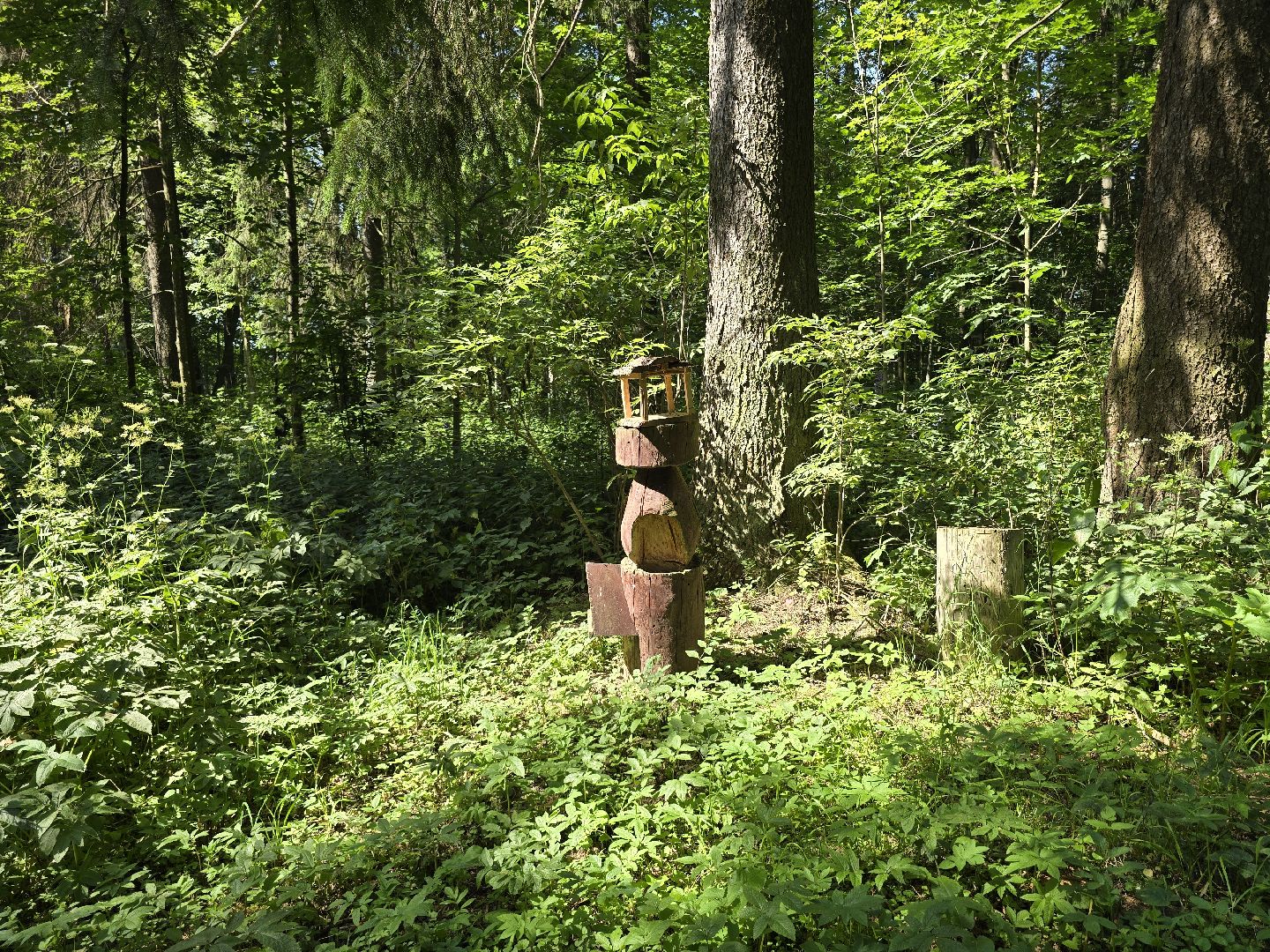 Можайск, Можайский муниципальный округ, Подмосковье, Отдых, Лето, Зоны отдыха, Парк памяти, Общество ,