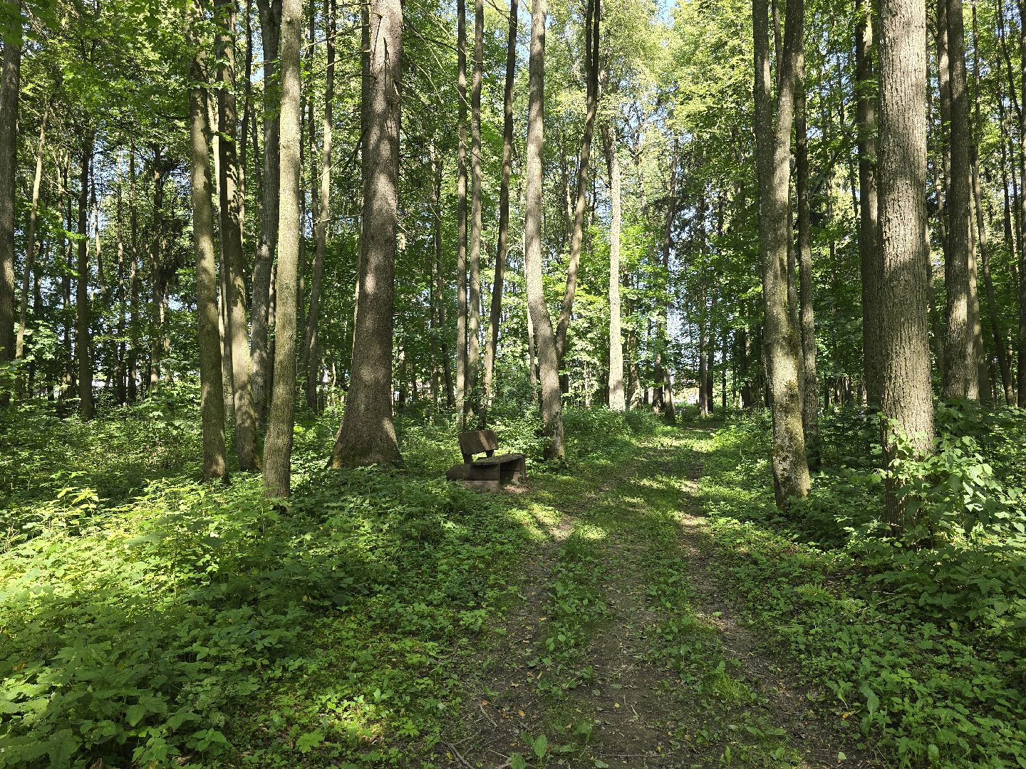 Можайск, Можайский муниципальный округ, Подмосковье, Отдых, Лето, Зоны отдыха, Парк памяти, Общество ,
