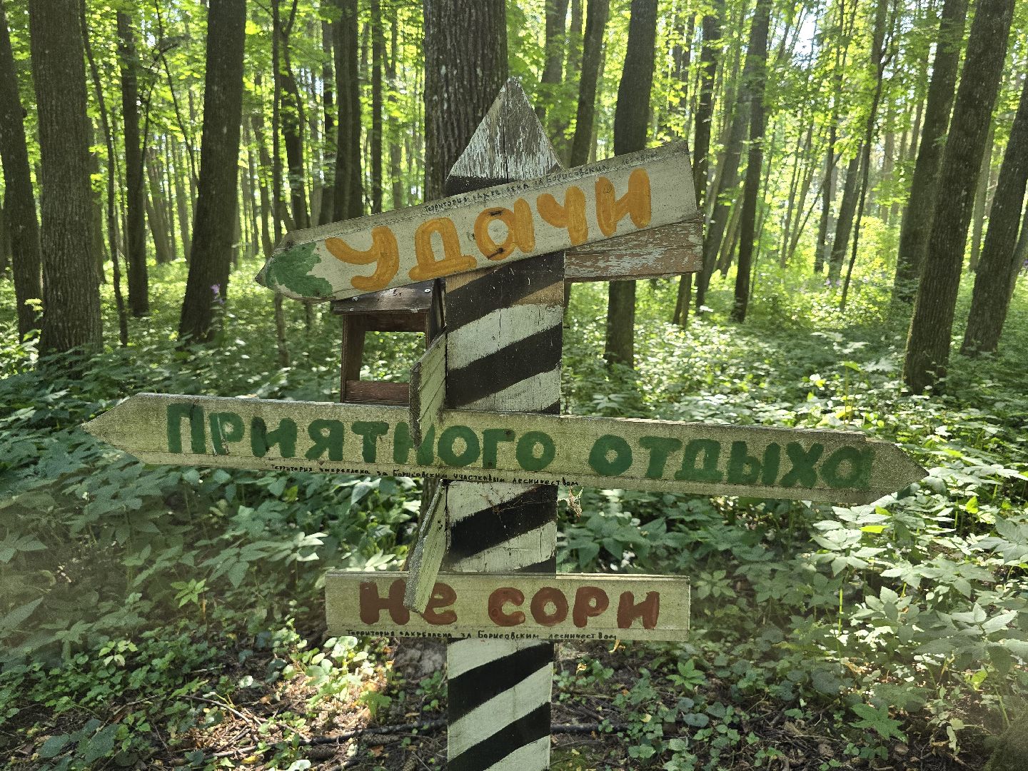 Можайск, Можайский муниципальный округ, Подмосковье, Отдых, Лето, Зоны отдыха, Парк памяти, Общество ,