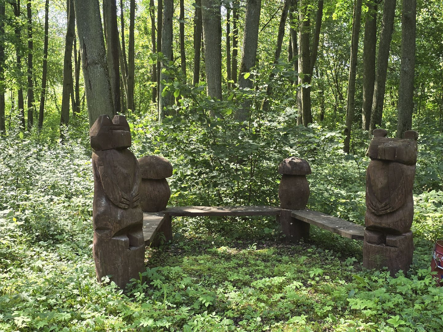 Можайск, Можайский муниципальный округ, Подмосковье, Отдых, Лето, Зоны отдыха, Парк памяти, Общество ,