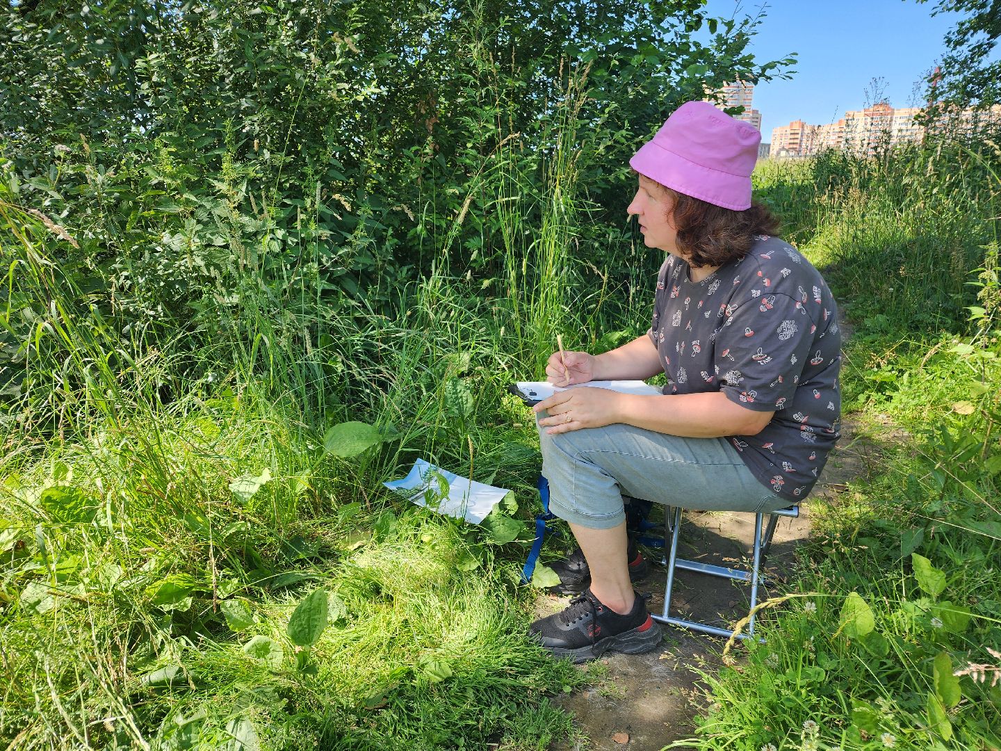 фрязино, художники, пленэр,