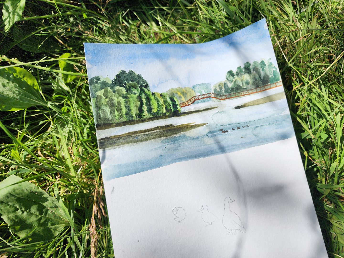 фрязино, художники, пленэр,