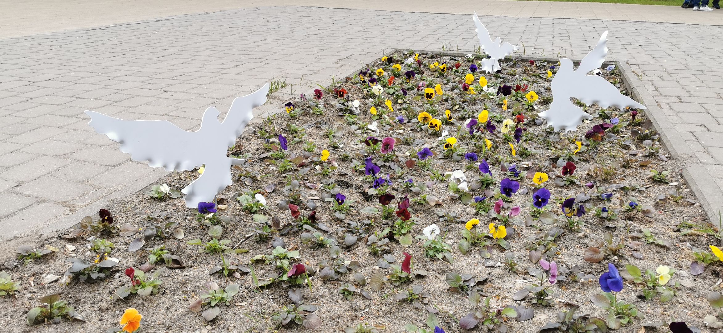 день победы, благоустройство,