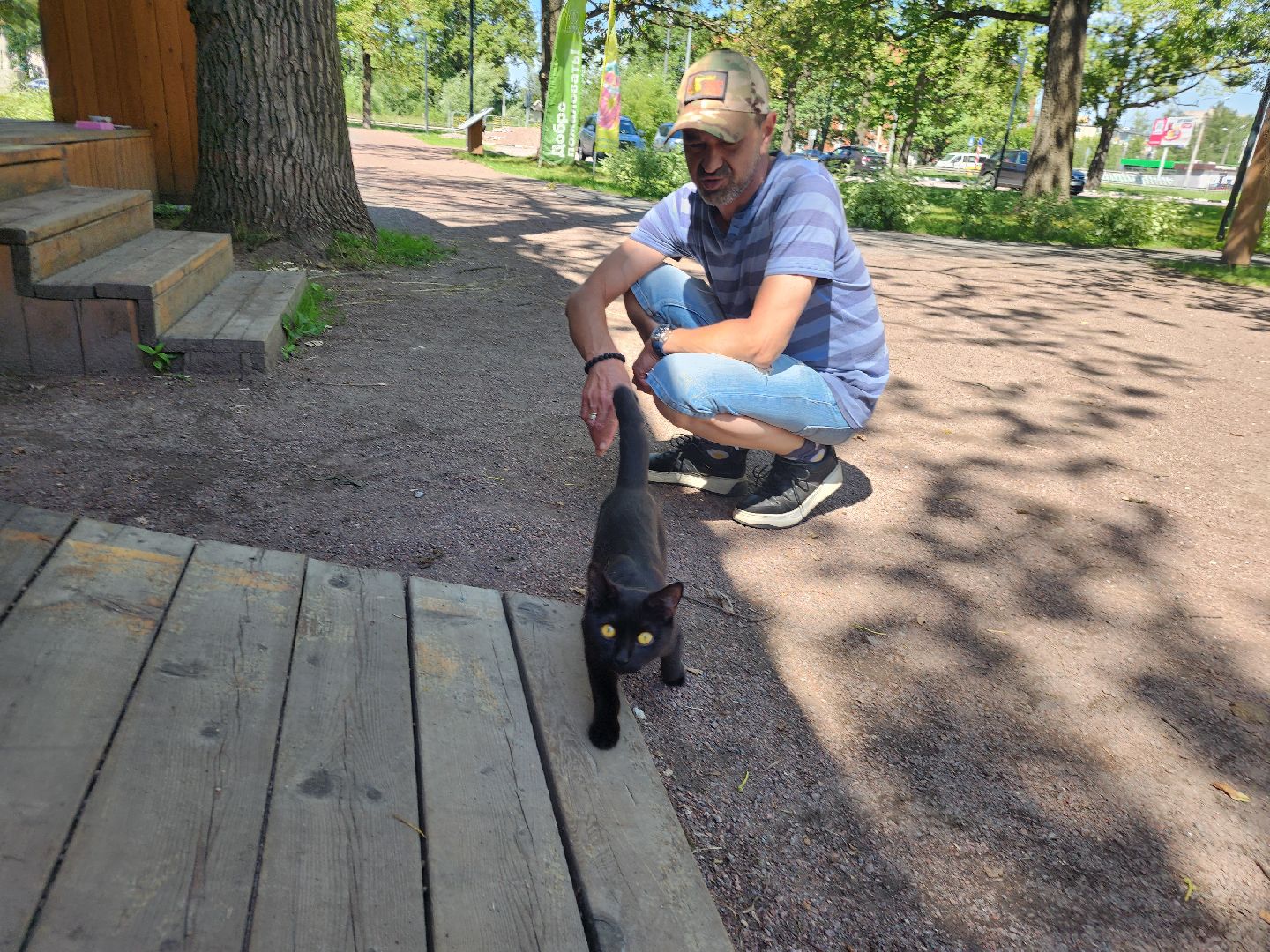 фрязино, жара, погодная аномалия, лесопарк,