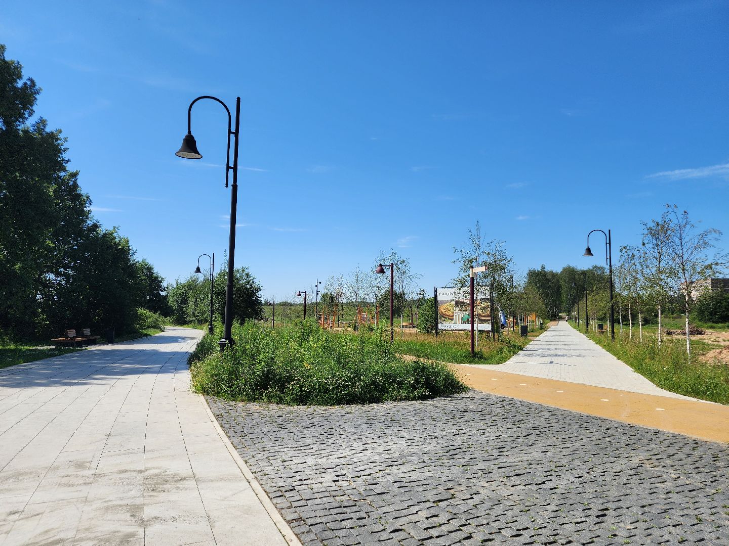 фрязино, жара, погодная аномалия, лесопарк,